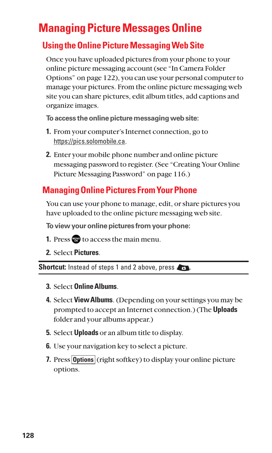 Managing picture messages online, Using the online picture messaging web site, Managing online pictures from your phone | Sanyo SCP-3100 User Manual | Page 136 / 157