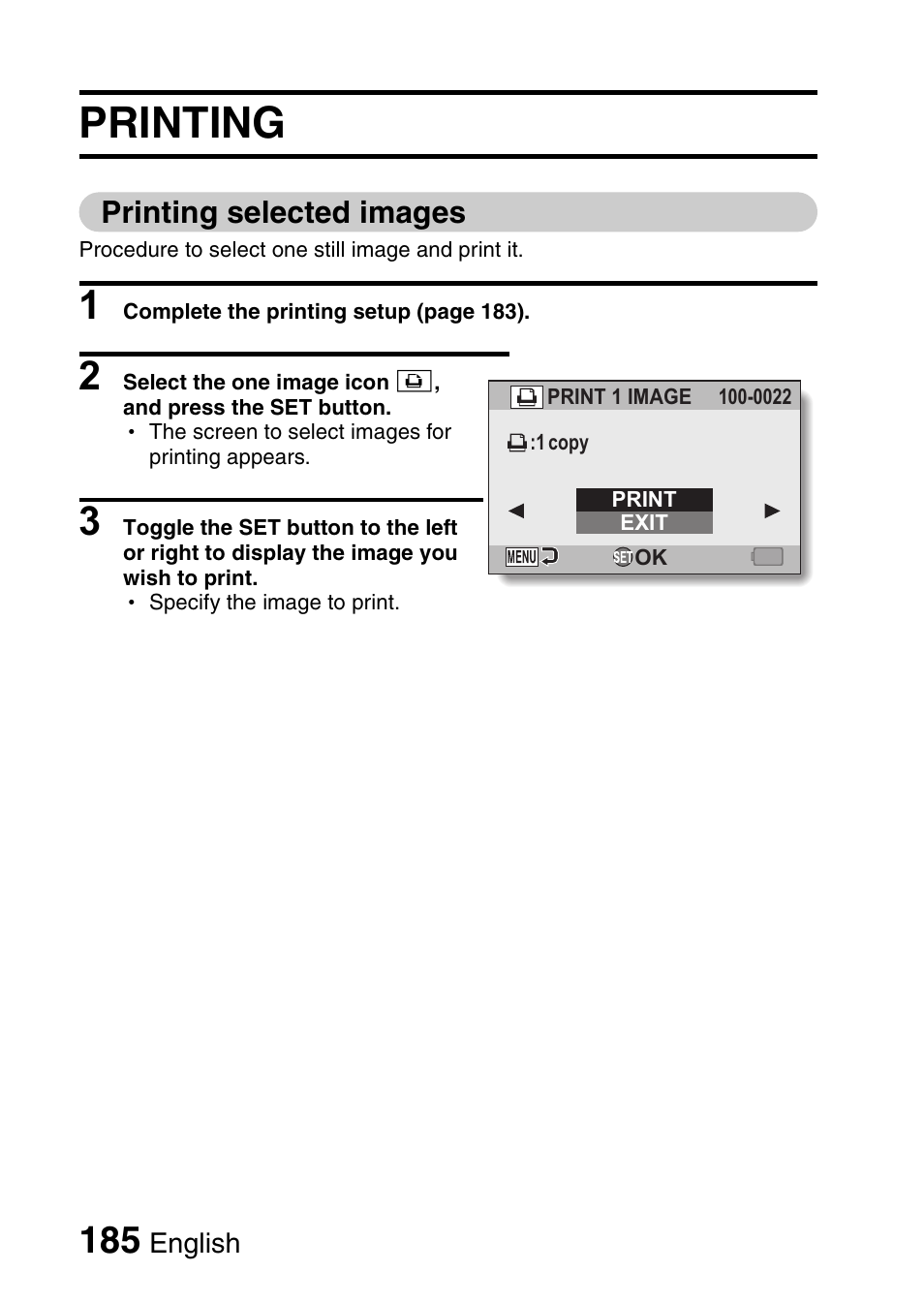 Printing | Sanyo VPC-HD1010GX User Manual | Page 204 / 251
