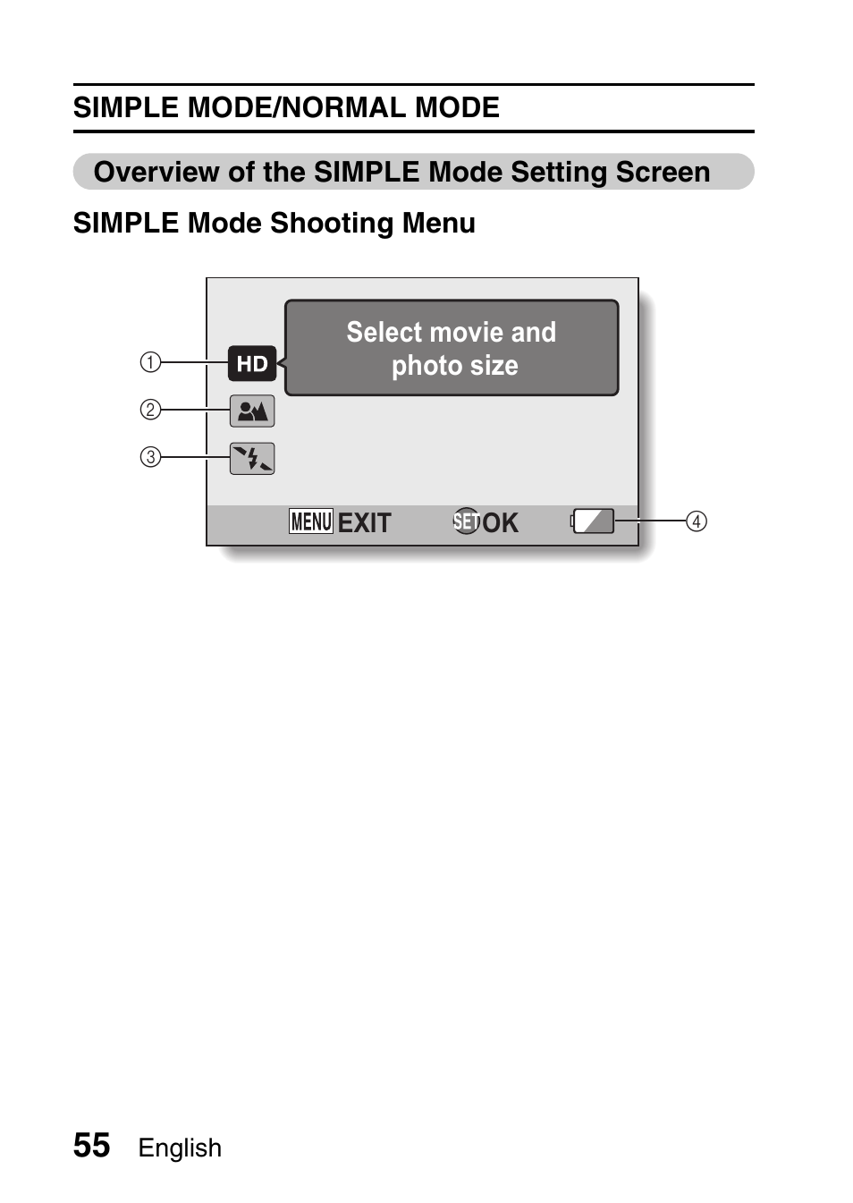 Sanyo VPC-HD1010GX User Manual | Page 74 / 251