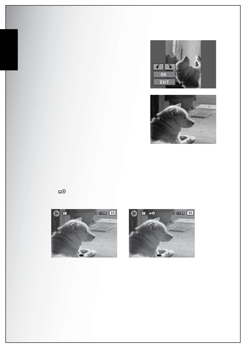 Rotate, Protect, English | Sanyo Xacti VPC-E870 User Manual | Page 46 / 62