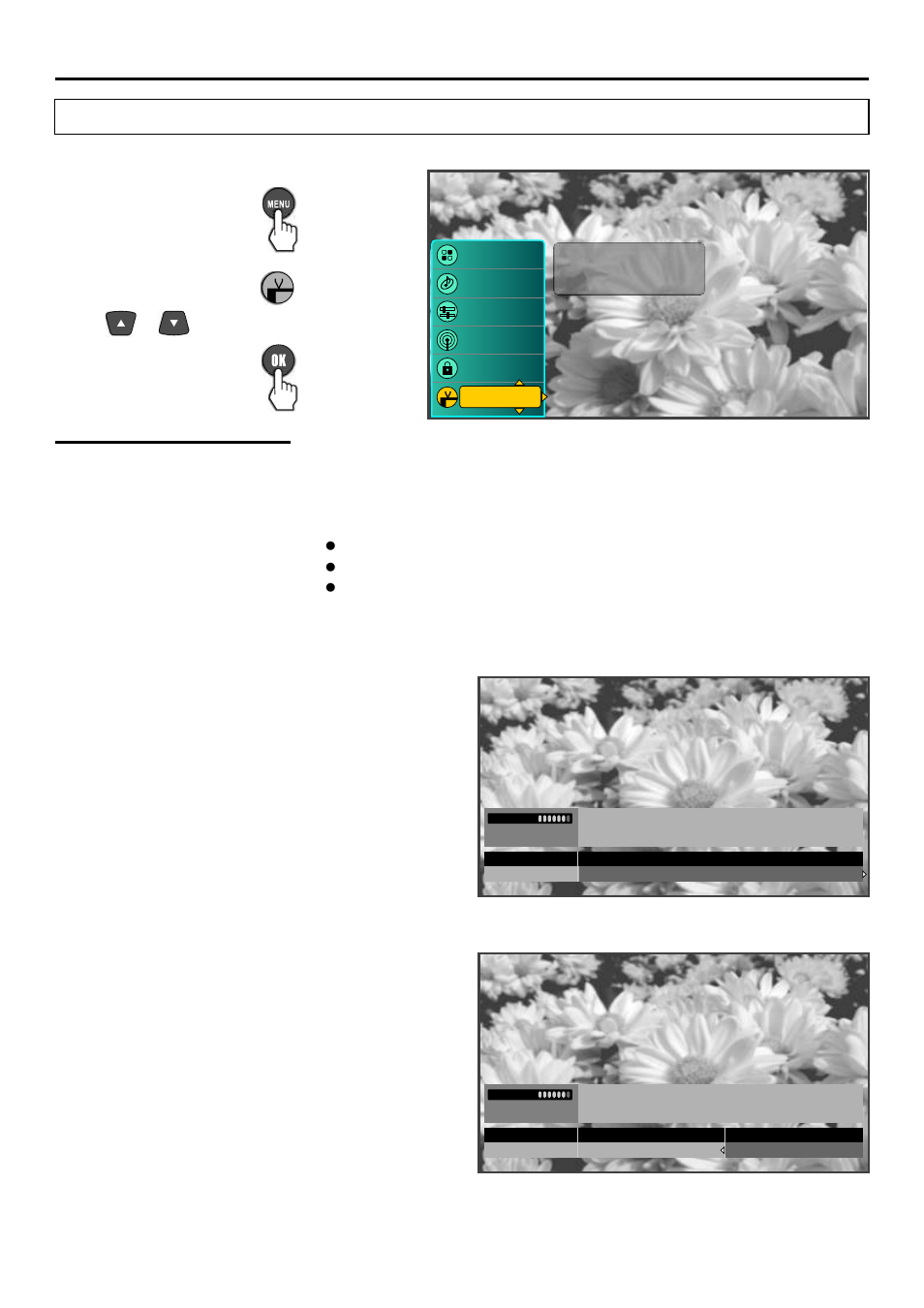 Adjusting menu options, Using the program guide accessing program guide, Using the program guide | Guide | Sanyo AVP-429 User Manual | Page 33 / 57