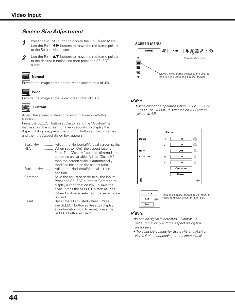 Screen size adjustment, Video input | Sanyo PDG-DET100L User Manual | Page 44 / 92