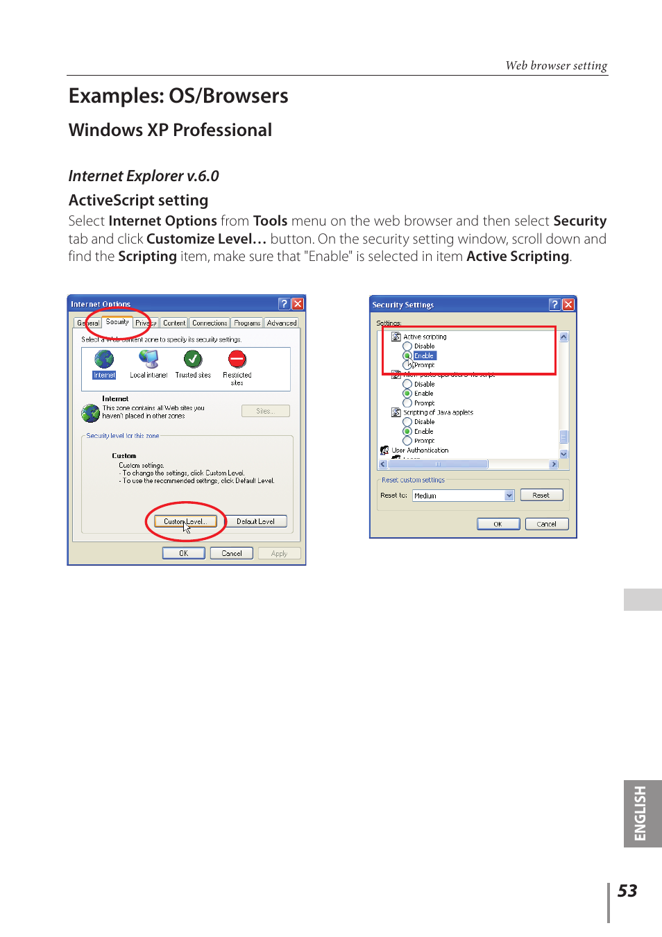 Examples: os/browsers, Windows xp professional | Sanyo Proj05 User Manual | Page 53 / 62