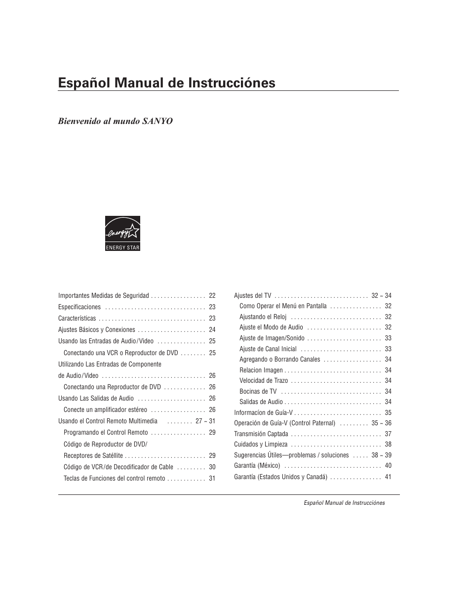 Sanyo DS27930 User Manual | Page 21 / 60