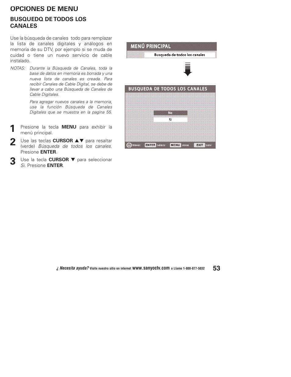 Sanyo DP32746 User Manual | Page 53 / 68