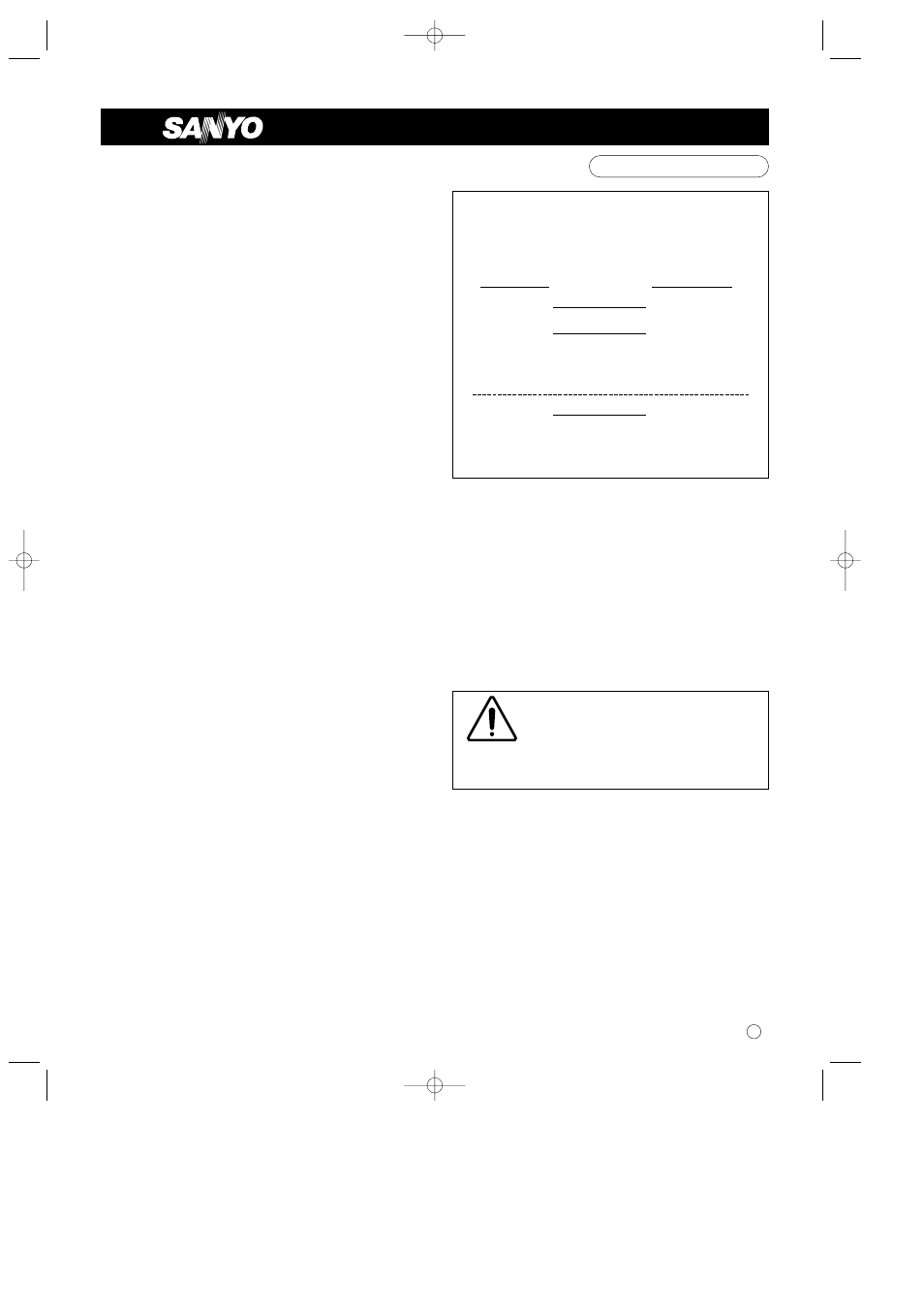 Sanyo CH0951 User Manual | 22 pages