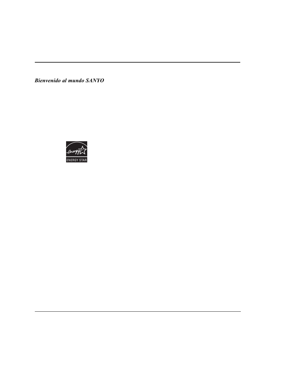 Sanyo DS24424 User Manual | Page 19 / 52