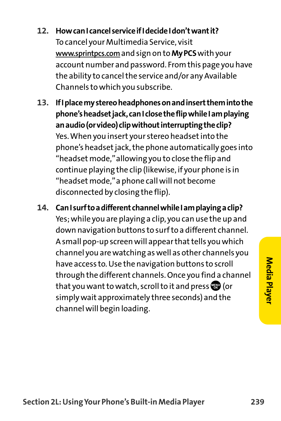 Sanyo MM-8300 User Manual | Page 249 / 324