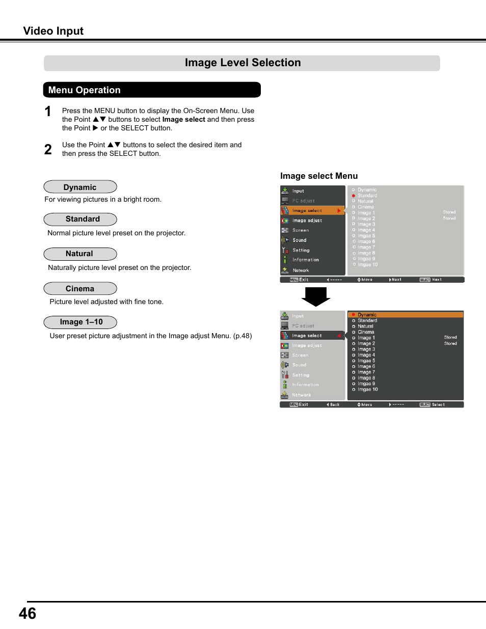 Image level selection, Video input | Sanyo PJLINK PLC-WM4500 User Manual | Page 46 / 91