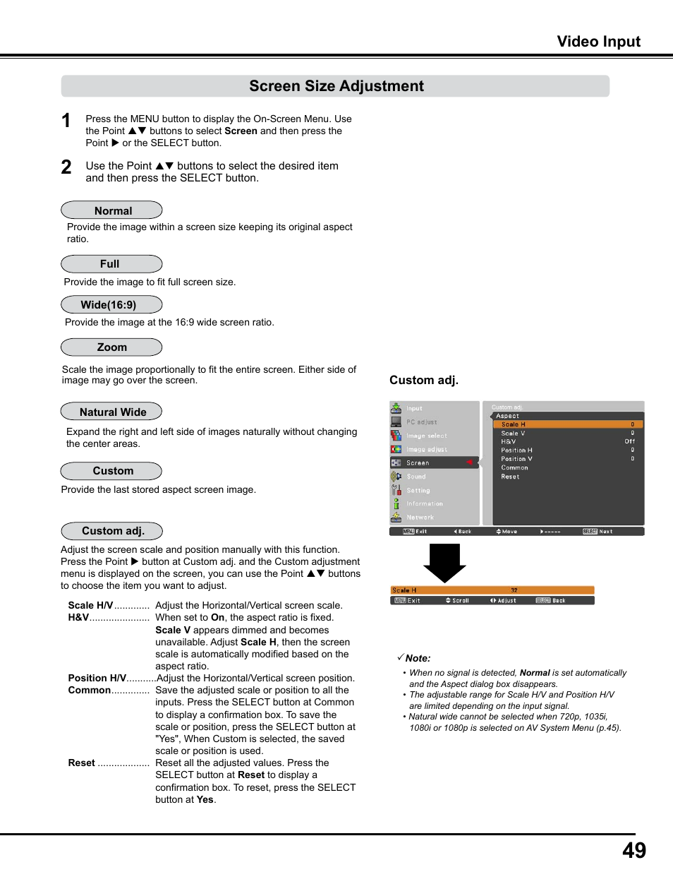 Screen size adjustment, Video input | Sanyo PJLINK PLC-WM4500 User Manual | Page 49 / 91