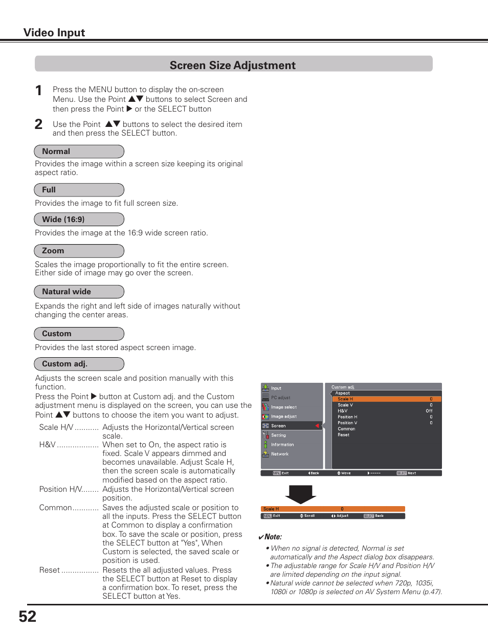 Screen size adjustment, Video input | Sanyo PLC HF15000L User Manual | Page 52 / 100