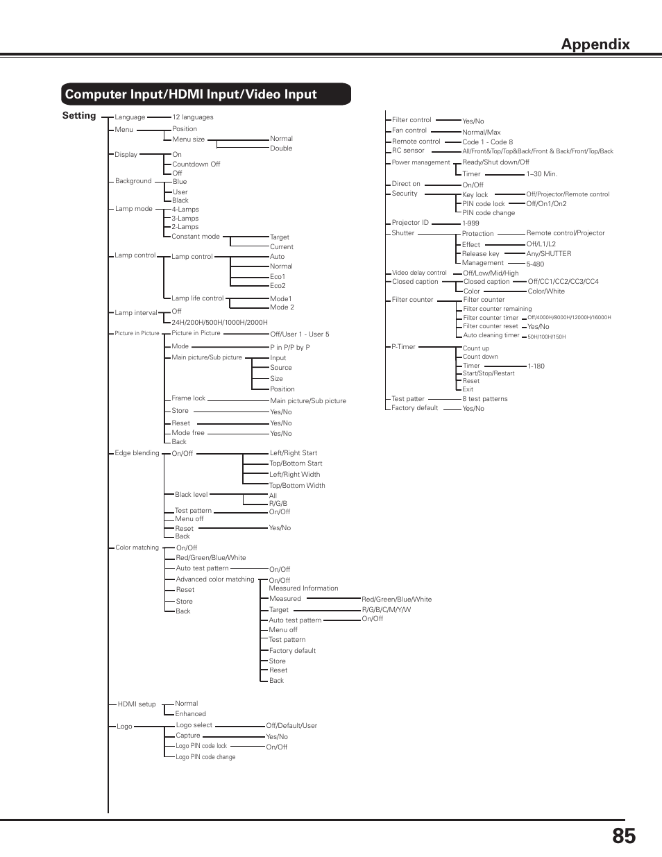 Appendix, Computer input/hdmi input/video input, Setting | Sanyo PLC HF15000L User Manual | Page 85 / 100