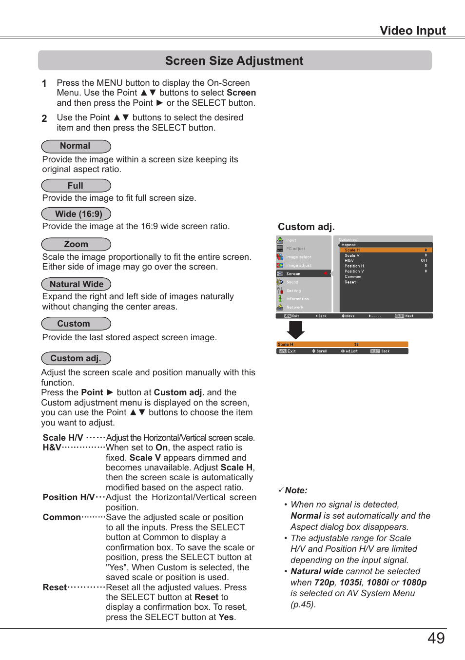 Screen size adjustment, Video input | Sanyo PJLINK PLC-ZM5000L User Manual | Page 49 / 92
