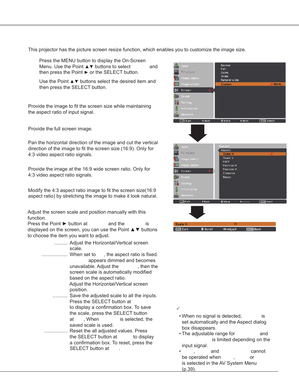 Screen size adjustment, Video input | Sanyo PLC-WXU300K User Manual | Page 43 / 82