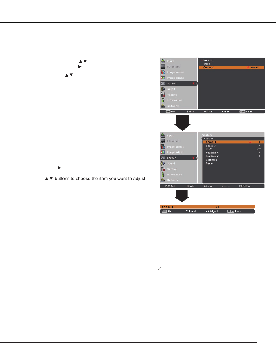 Screen size adjustment, Video input | Sanyo PJ LINK PLC-XU106 User Manual | Page 45 / 79