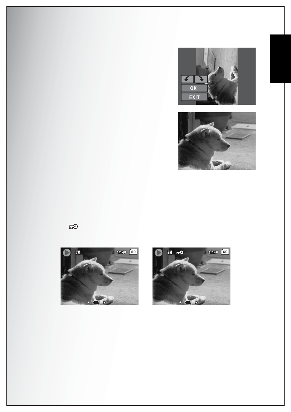 Rotate, Protect, English | Sanyo VPC-S750 User Manual | Page 47 / 63