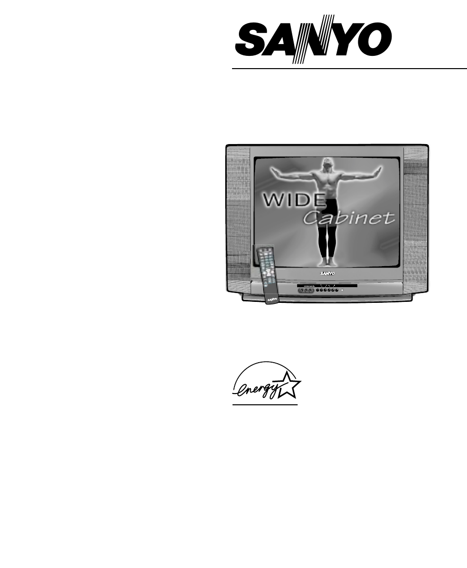 Sanyo DS25500 User Manual | 44 pages