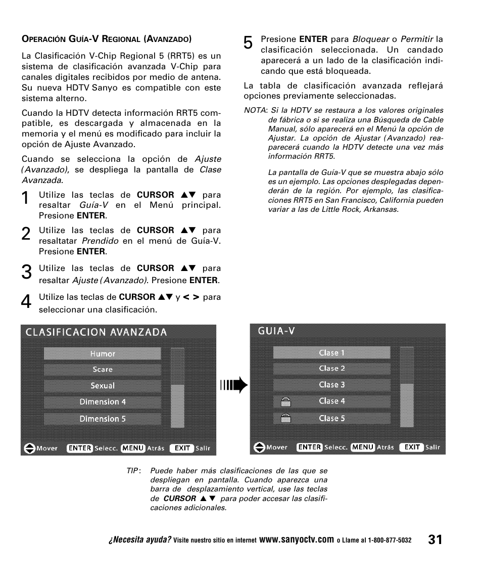 Sanyo DP52848 User Manual | Page 31 / 52