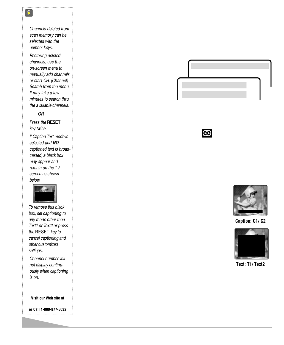 Closed-captioning, Quicktips | Sanyo DS13330 User Manual | Page 8 / 40