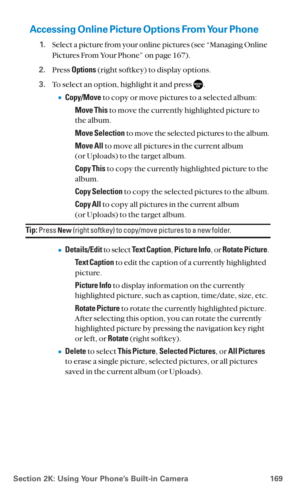 Accessing online picture options from your phone | Sanyo PCS Vision PM-8200 User Manual | Page 181 / 257