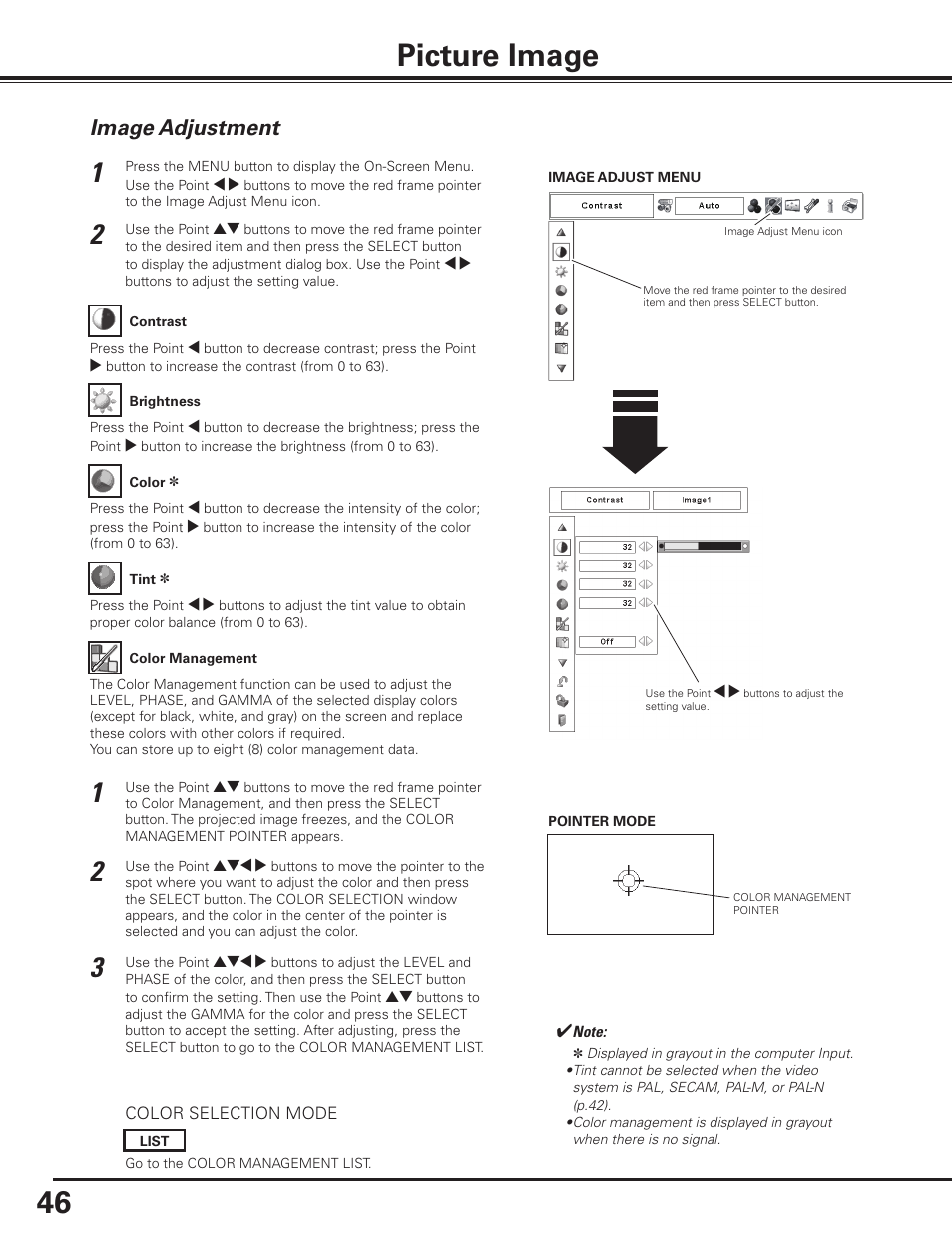Picture image, Image adjustment | Sanyo PDG-DHT8000L User Manual | Page 46 / 94