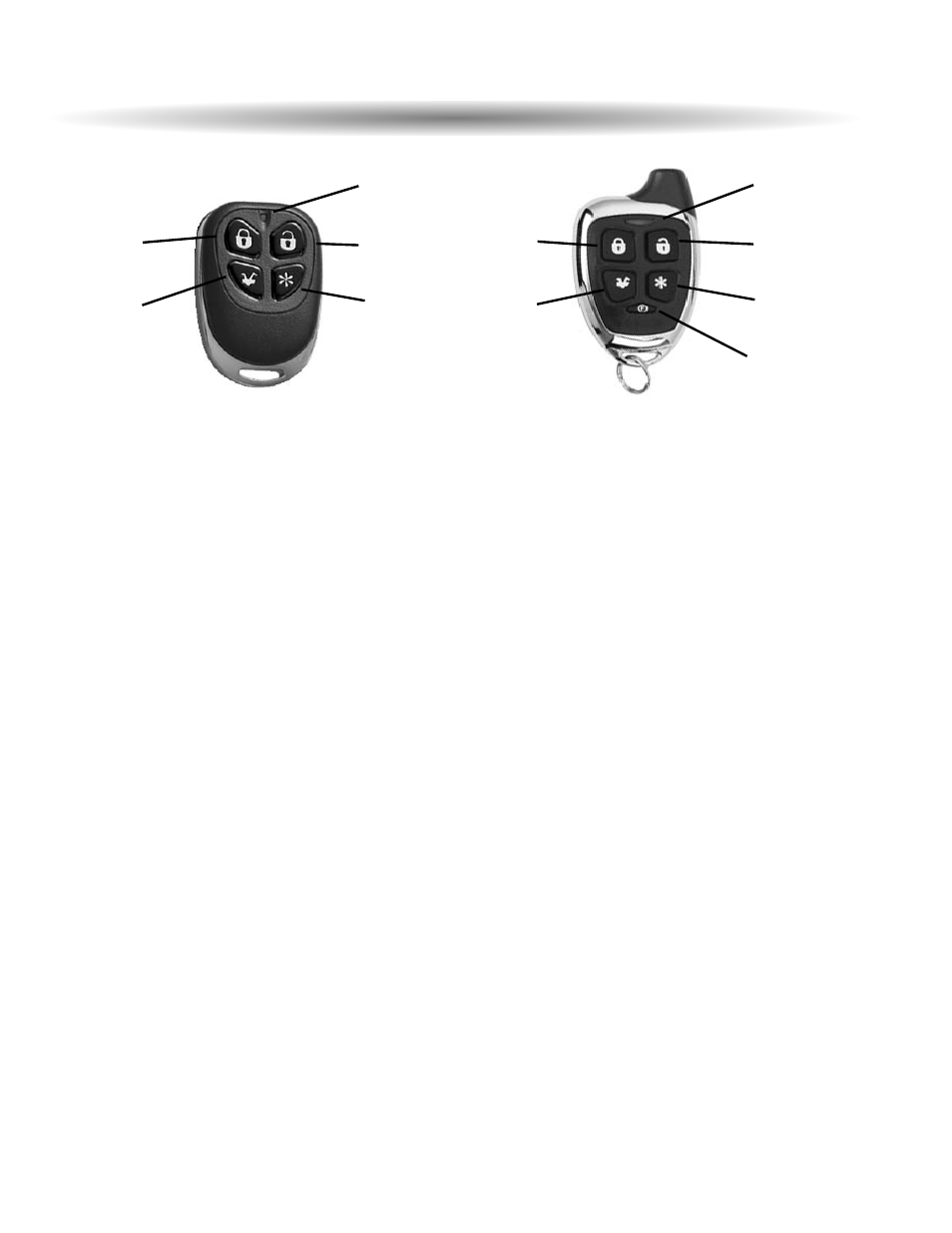 Remote transmitters, Remote transmitter description, Adding/replacing transmitters | ScyTek Electronics G20 User Manual | Page 3 / 12