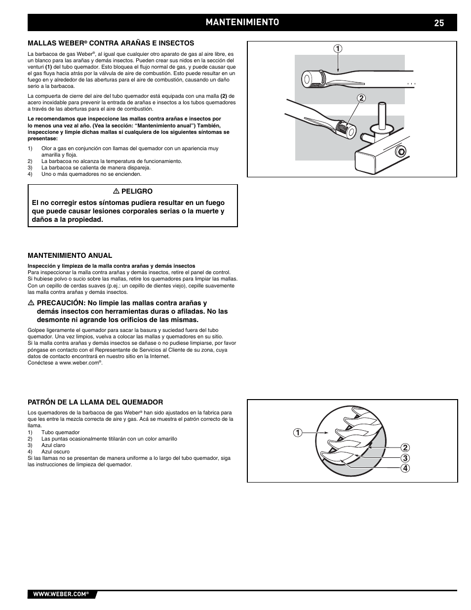 Mantenimiento | Spirit E/EP - 210/310 User Manual | Page 25 / 44