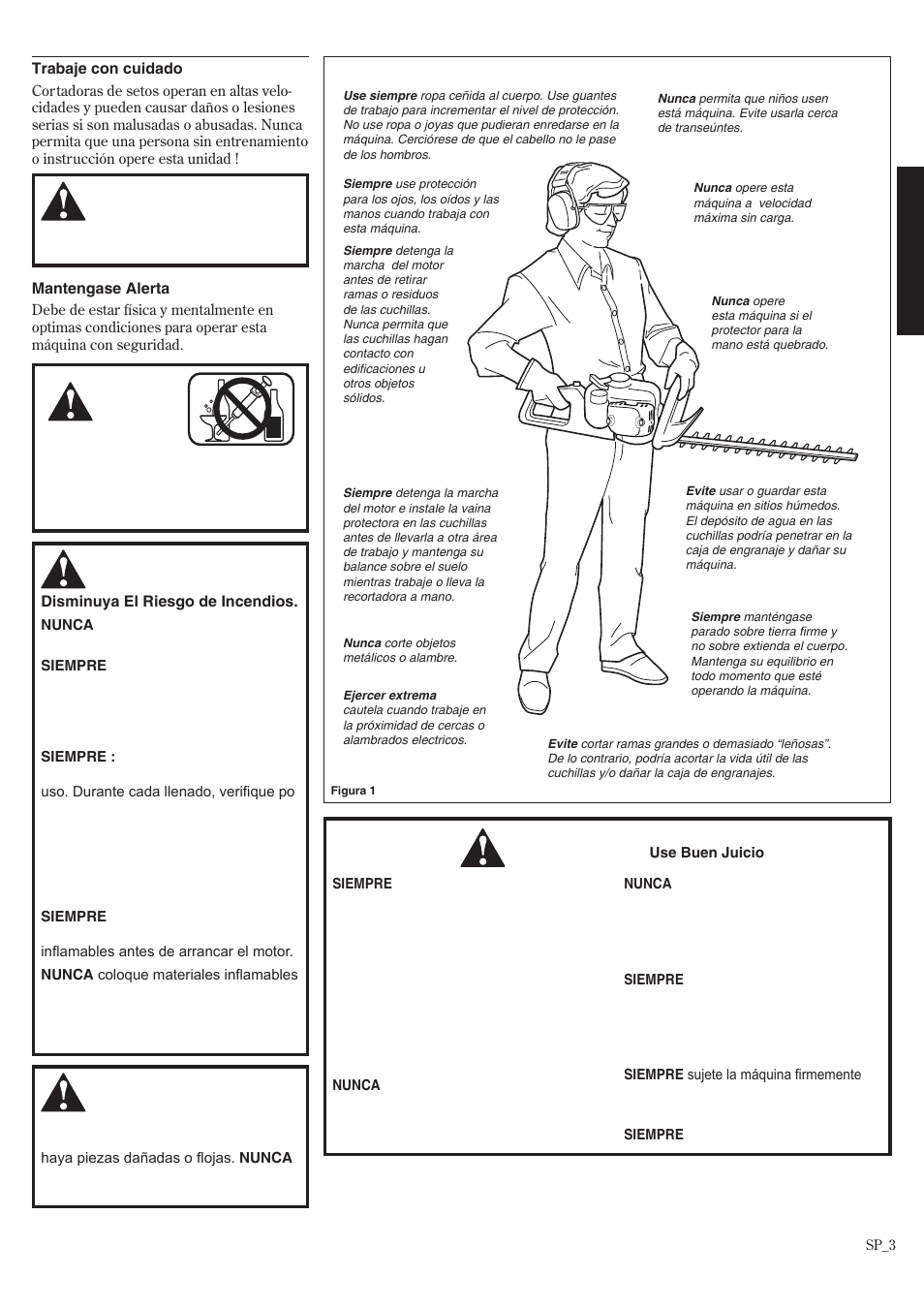 Instrucciones generales de seguridad | Shindaiwa HT2510/EVC User Manual | Page 19 / 48