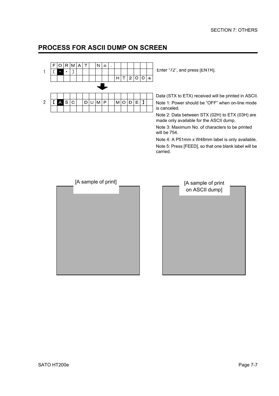 Process for ascii dump on screen | SATO HT200e User Manual | Page 127 / 152