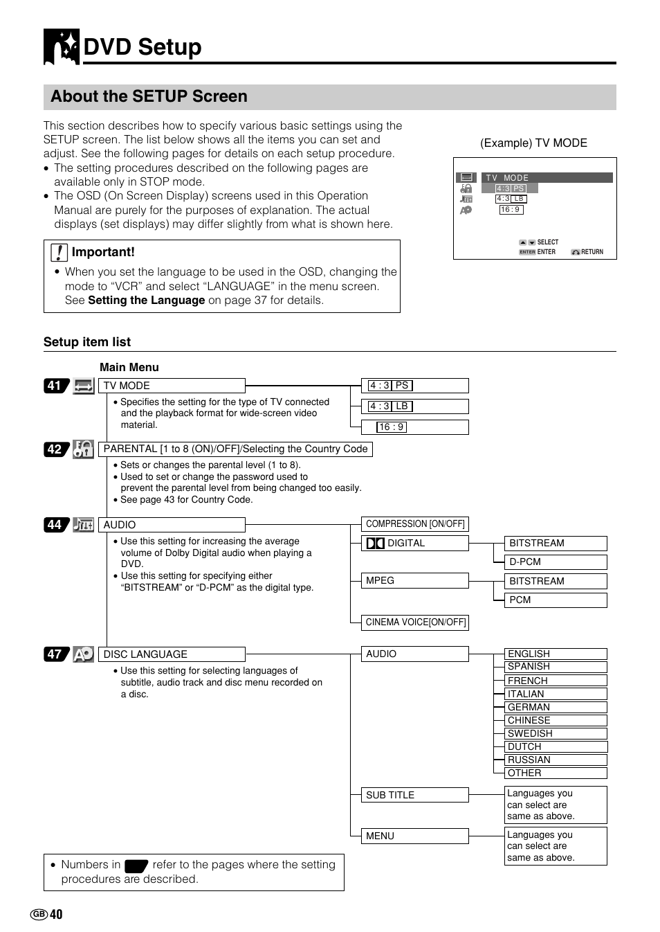 Dvd setup, About the setup screen, Important | Setup item list | Sharp DV-NC70(RU) User Manual | Page 42 / 104