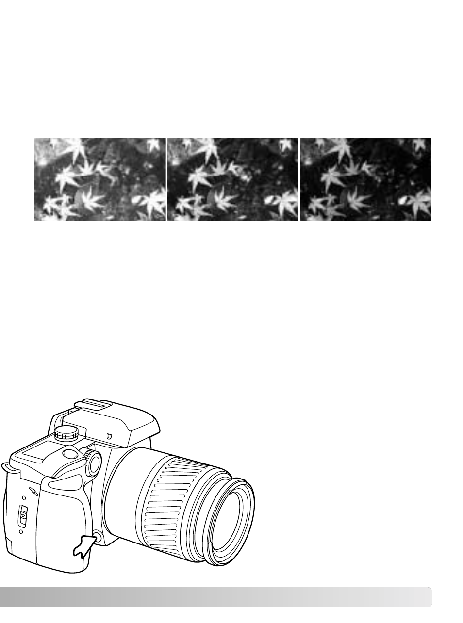 Depth of field preview | Konica Minolta Minolta RIVA ZOOM 70 User Manual | Page 43 / 84