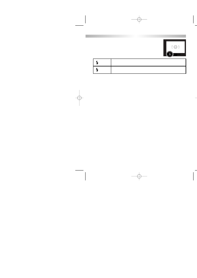 Flash signals, Lens shadowing | Konica Minolta MAXXUM 3 User Manual | Page 33 / 64