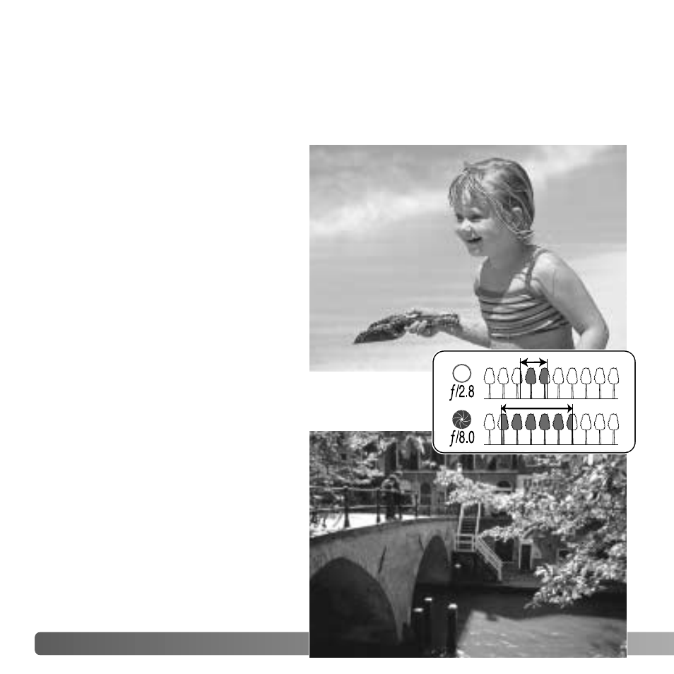 A short guide to photography | Konica Minolta DIMAGE Z5 User Manual | Page 70 / 132
