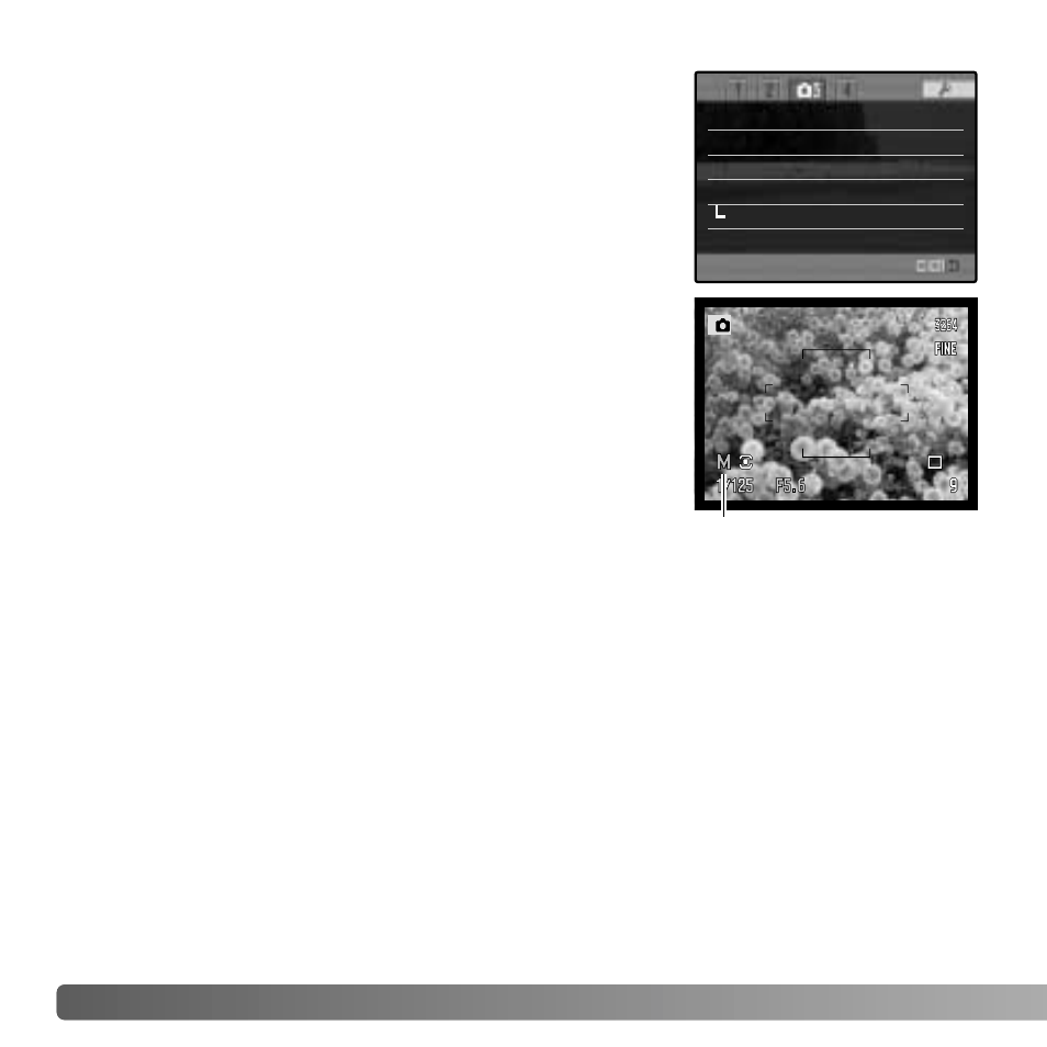 Monitor amplification | Konica Minolta DiMAGE A2 User Manual | Page 104 / 180