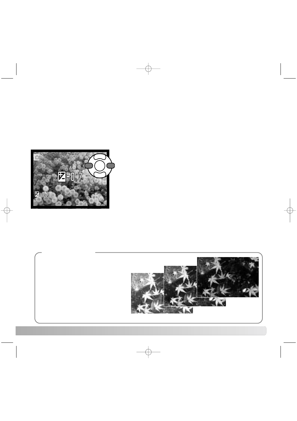 Exposure compensation | Konica Minolta Z20 User Manual | Page 41 / 124