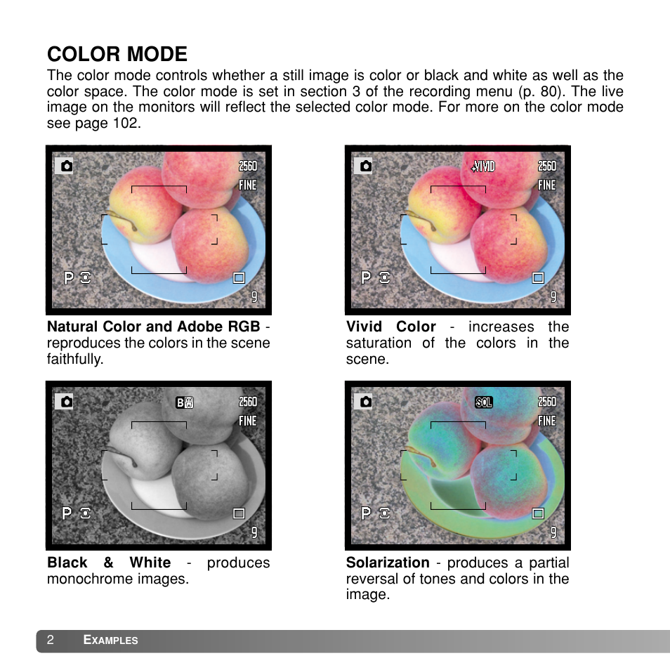 Color mode | Konica Minolta Dimage A1 User Manual | Page 2 / 49