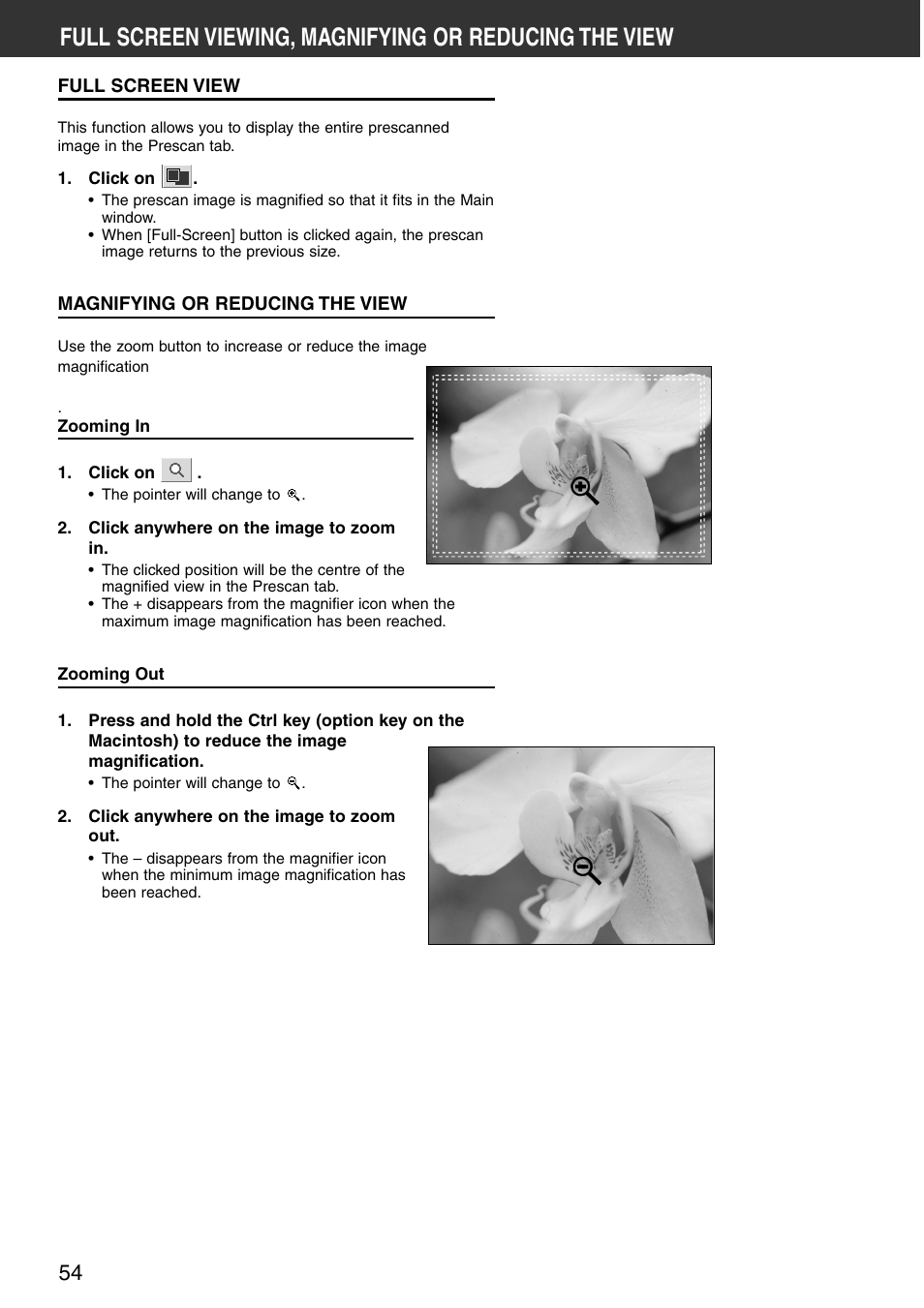 Full screen view magnifying or reducing the view | Konica Minolta DiMAGE Scan Multi PRO User Manual | Page 54 / 129