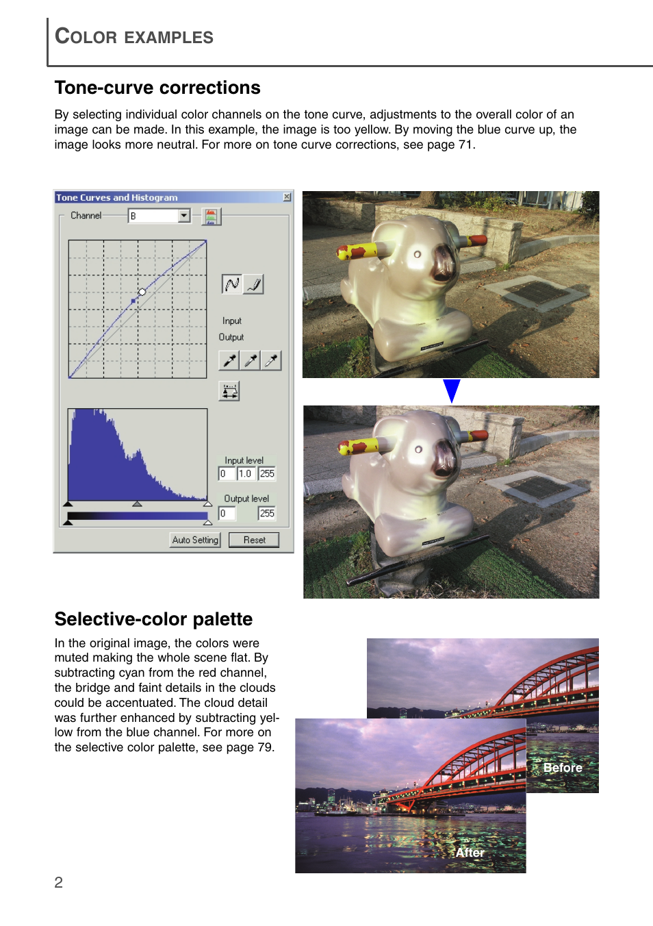 Tone-curve corrections, Selective-color palette | Konica Minolta DiMAGE Scan Dual III AF-2840 User Manual | Page 2 / 92