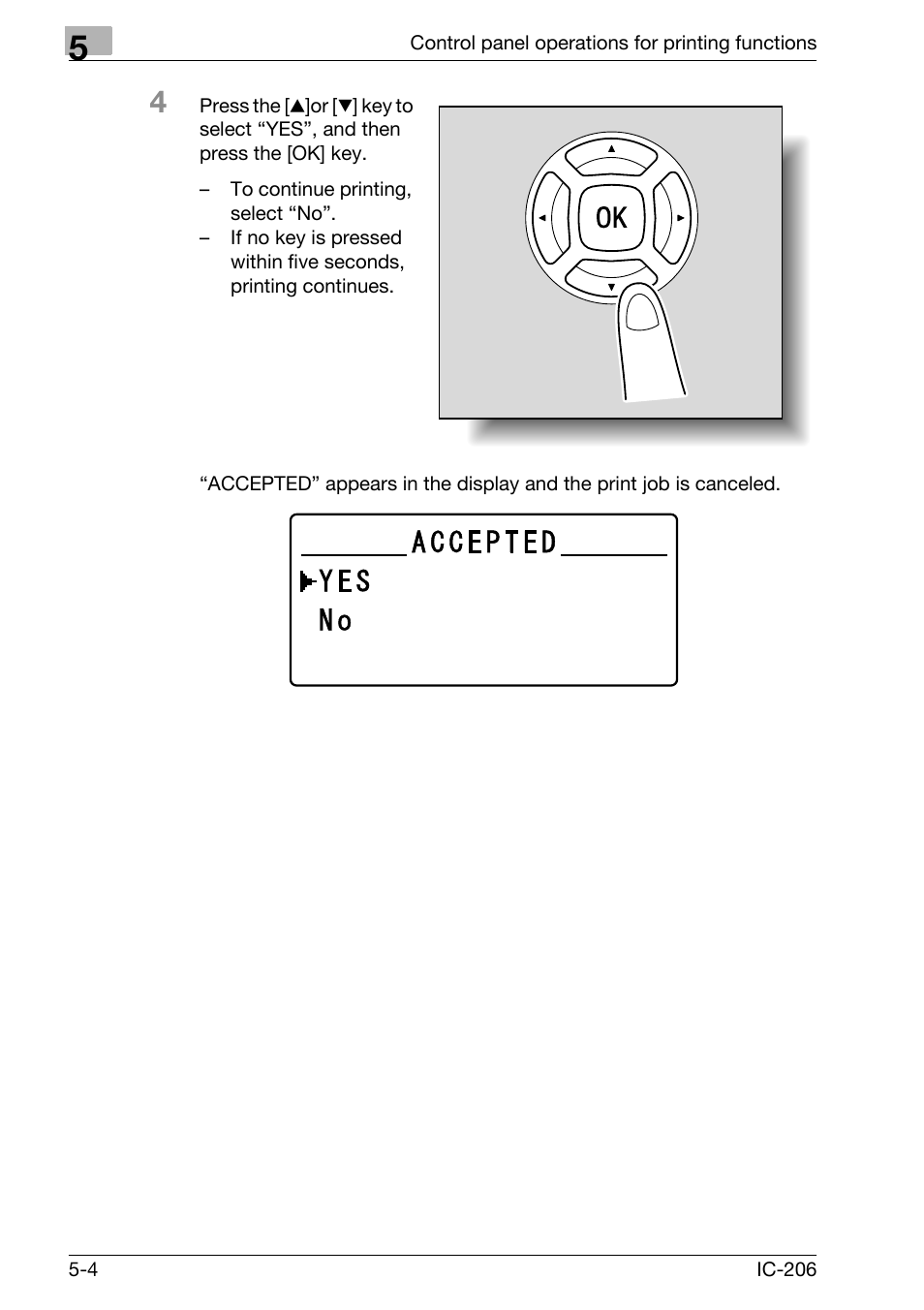 Konica Minolta bizhub 163 User Manual | Page 131 / 362