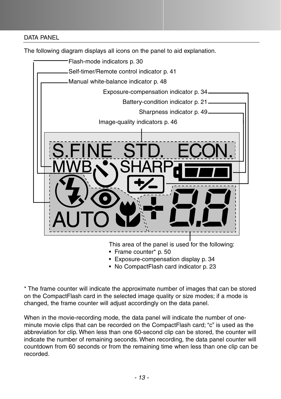 Data panel | Konica Minolta DiMAGE E201 User Manual | Page 13 / 96