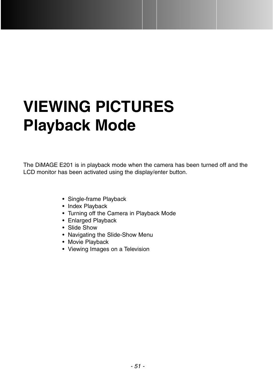 Viewing pictures (playback mode), Viewing pictures playback mode | Konica Minolta DiMAGE E201 User Manual | Page 51 / 96