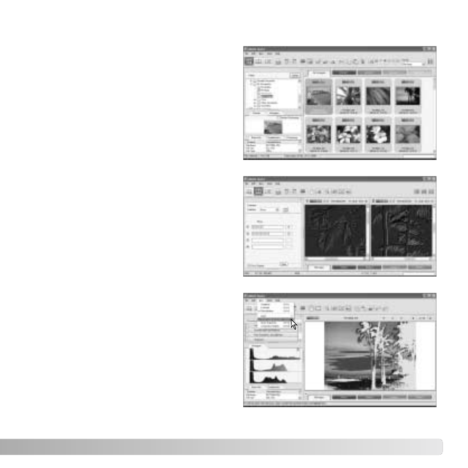 About dimage master | Konica Minolta MAXXUM 5D User Manual | Page 81 / 148