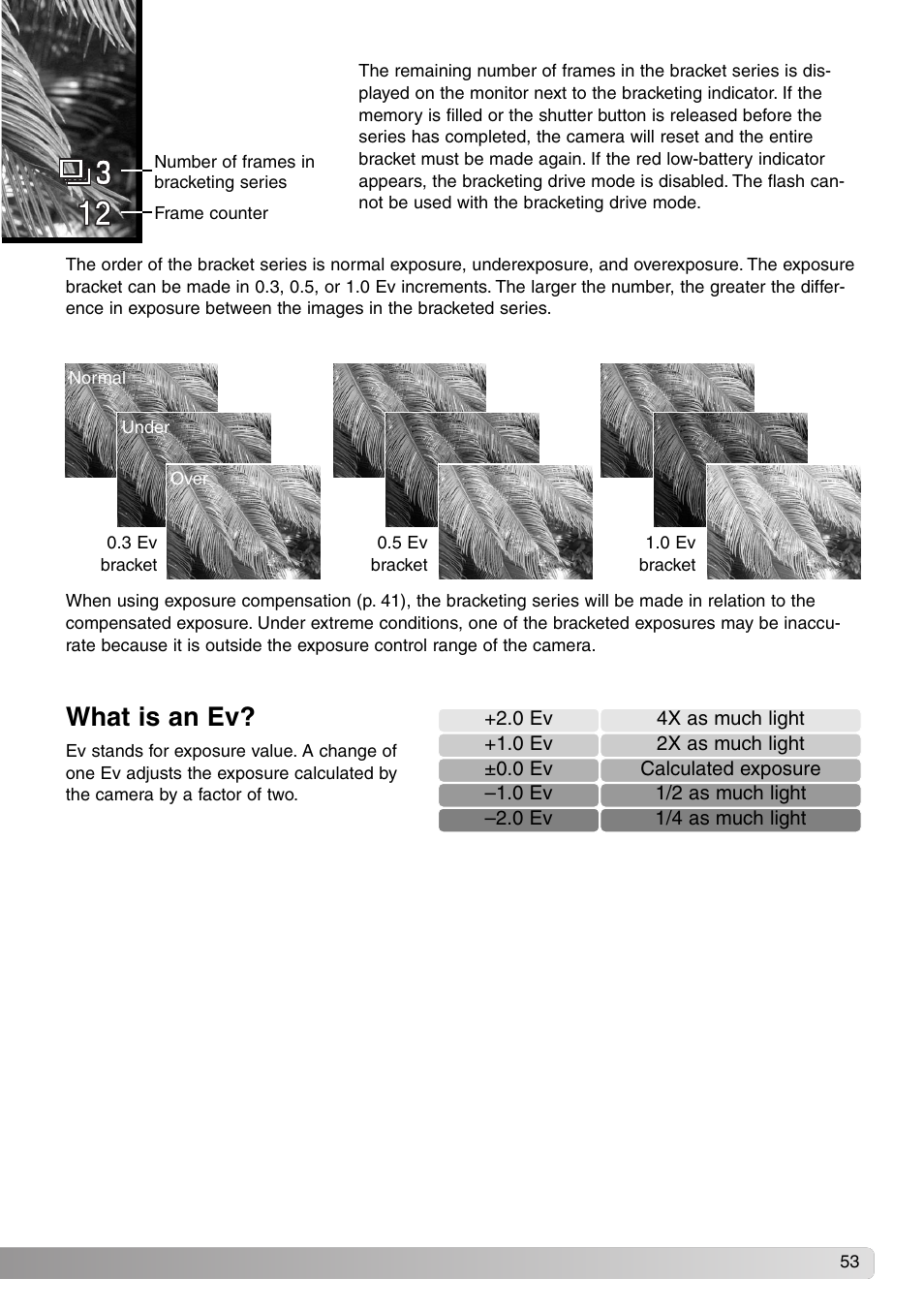 What is an ev | Konica Minolta DiMAGE Z1 User Manual | Page 53 / 116