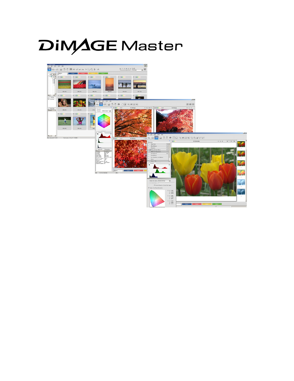 Konica Minolta MAXXUM 7D User Manual | Page 17 / 20