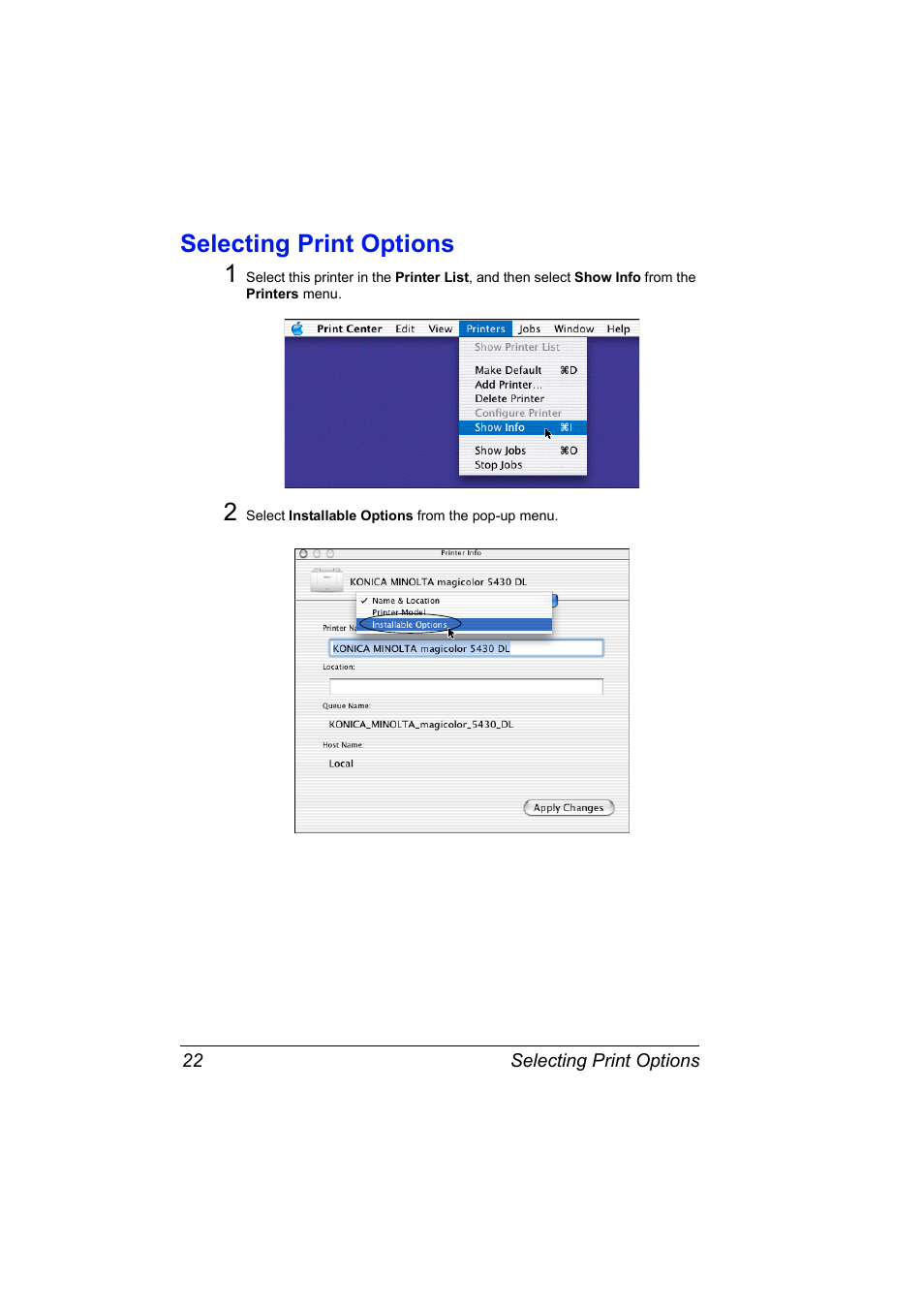 Selecting print options, Selecting print options 22, Selecting print options 1 | Konica Minolta Magicolor 5430 DL User Manual | Page 28 / 114
