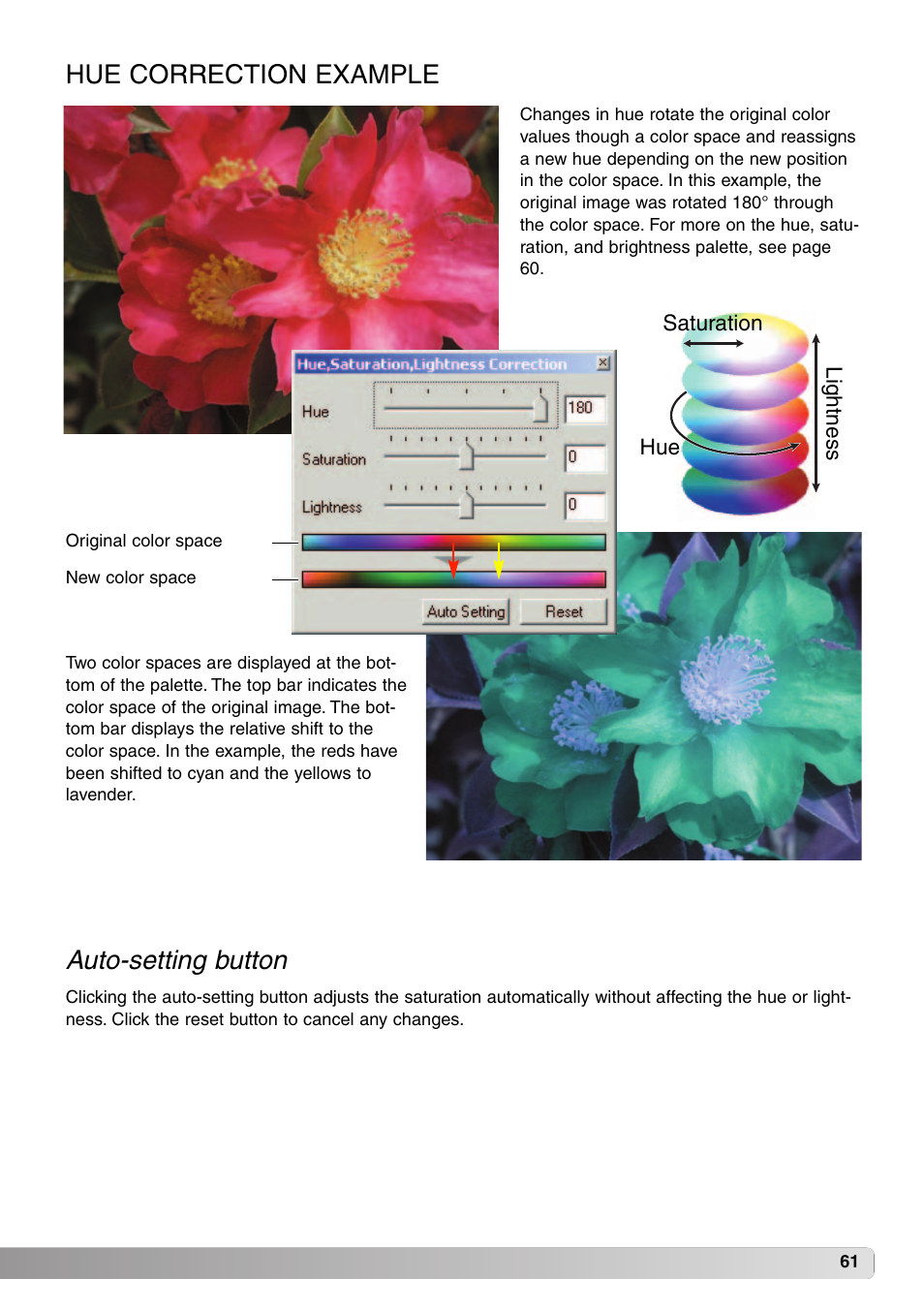 Hue correction example, Auto-setting button | Konica Minolta DiMAGE Viewer User Manual | Page 61 / 92