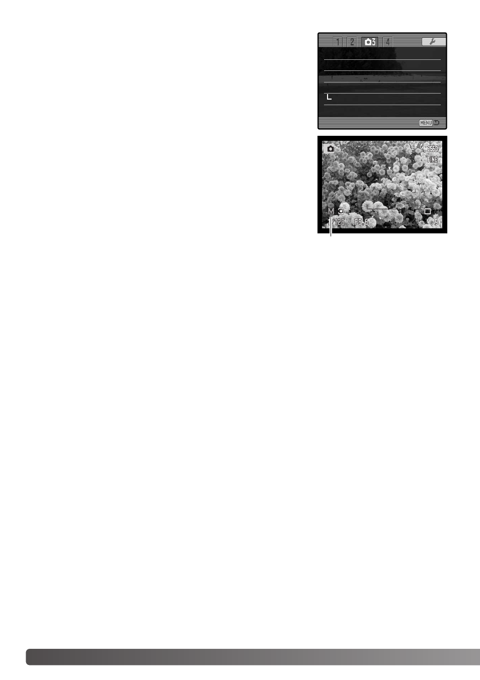 Monitor amplification | Konica Minolta Dimage A1 User Manual | Page 104 / 172
