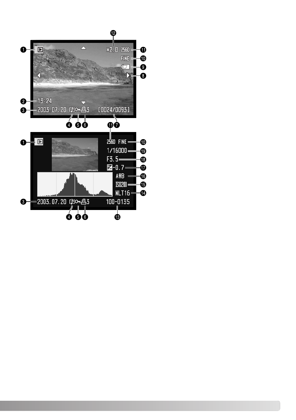 Monitor display - quick view & playback mode | Konica Minolta Dimage A1 User Manual | Page 19 / 172