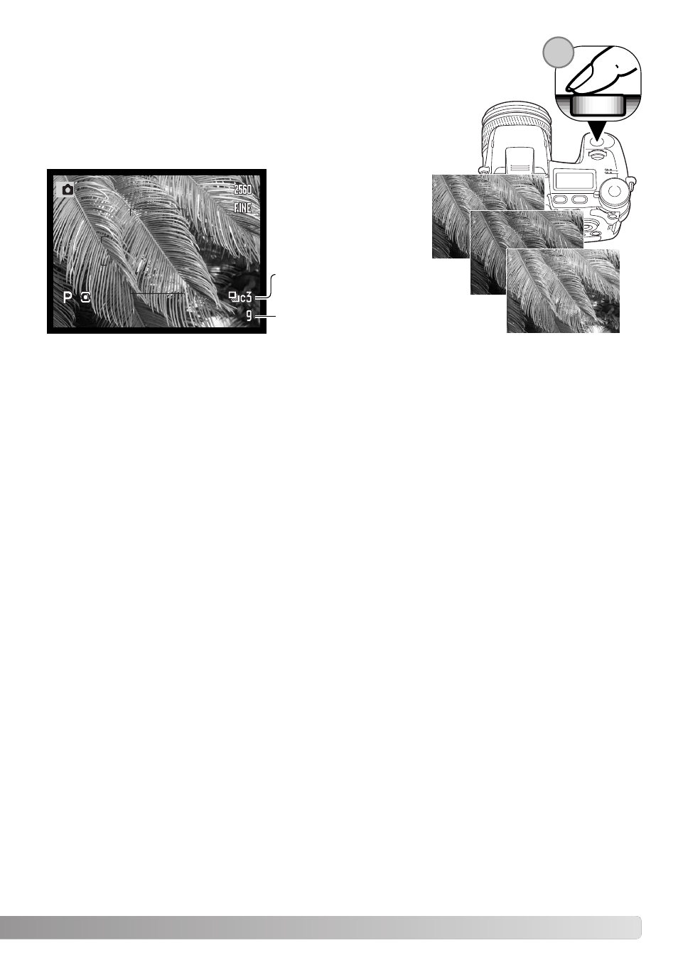 Konica Minolta Dimage A1 User Manual | Page 63 / 172