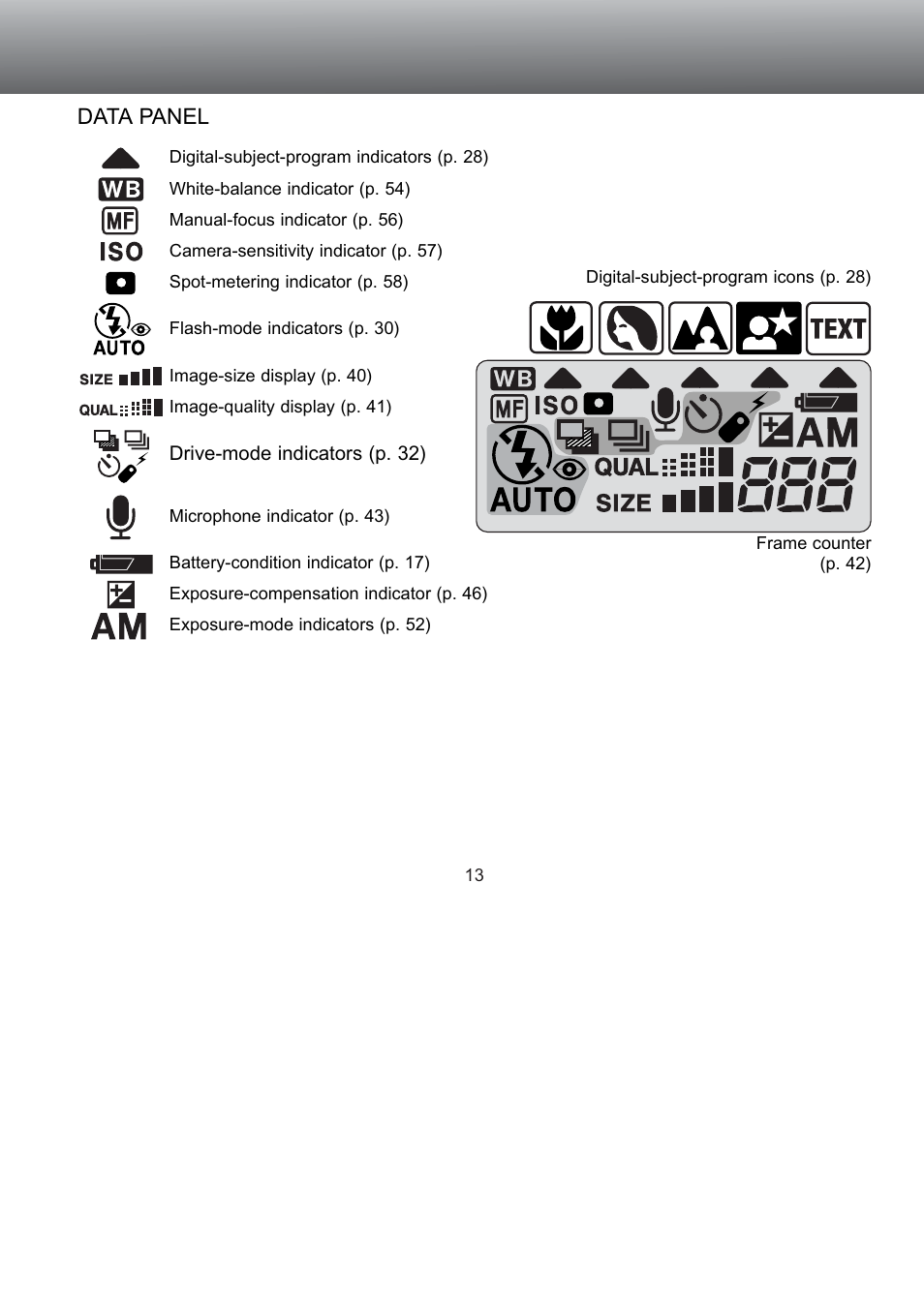Data panel | Konica Minolta S304 User Manual | Page 13 / 118